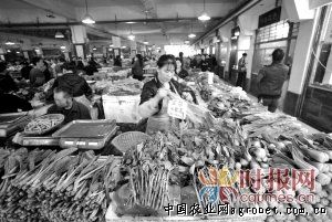上海崇明区市场监管局