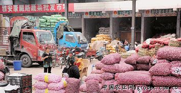 水萝卜批发价是多少钱一斤