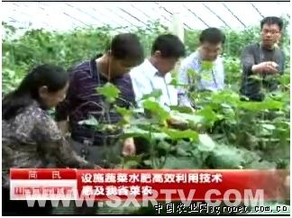 日本南瓜的种植与管理