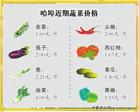 日本大胃王吃12斤拉面