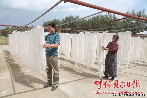 贵州威宁：2.1万亩魔芋产业带动1.5万人脱贫致富