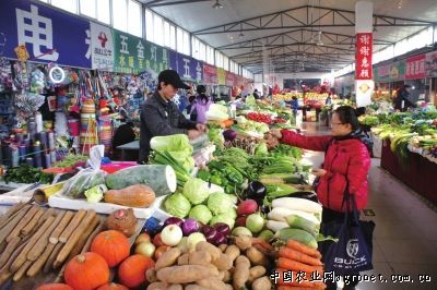 湖南桂东：蔬菜不杀虫不打药