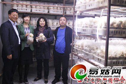 北京天人化肥有限公司