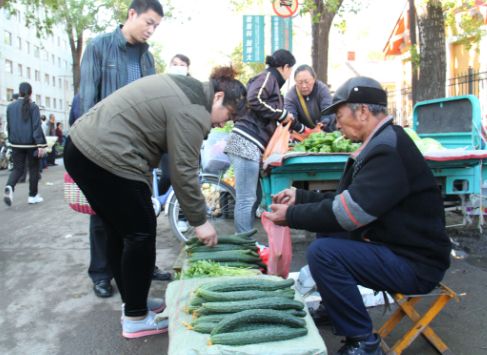 胶州大白菜种植哪个品种好吃