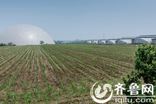 陕西农科化肥有限公司