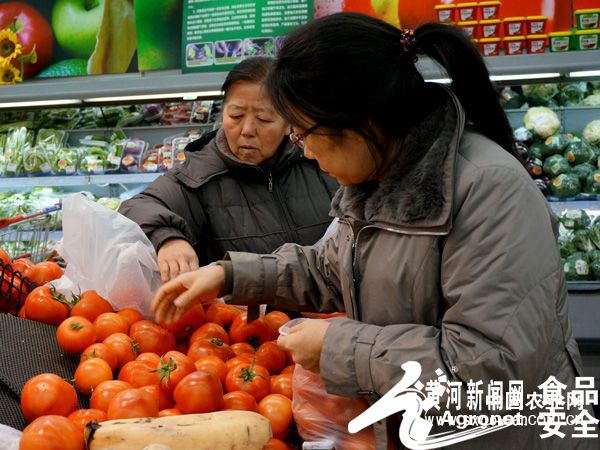红菊芋种植技术