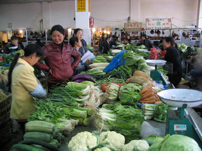 华南205木薯批发市场