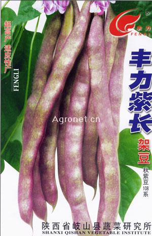 紫架豆种植技术