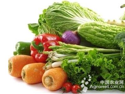 铁头蔬菜
