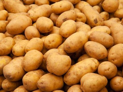 土豆病虫害防治