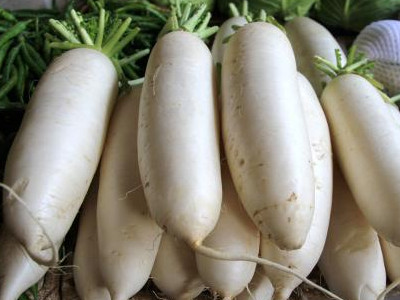 紫薯苗种植方法