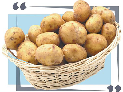 哪里有土豆基地种植