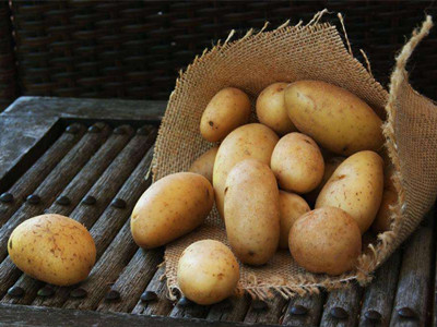 黄沙红薯病虫害及防治
