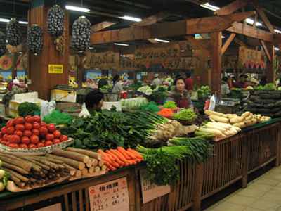 小叶菠菜市场价格