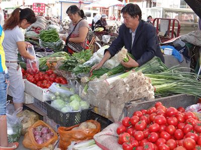 拉比西红柿市场价格