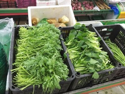 圆叶菠菜市场价格