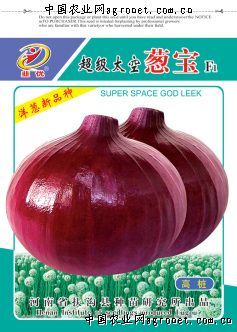 中华巨葱种子多少钱一斤