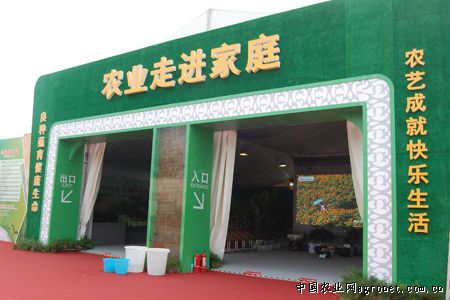 重庆香菇生产基地