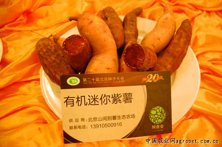 水蕨菜批发市场