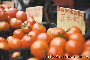 芽苗菜市场分析