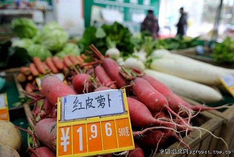 竹芋市场价格