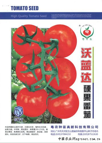 粉冠王番茄种子介绍