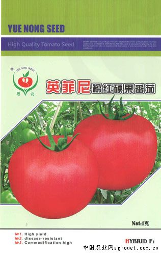 四季青韭菜种子价格
