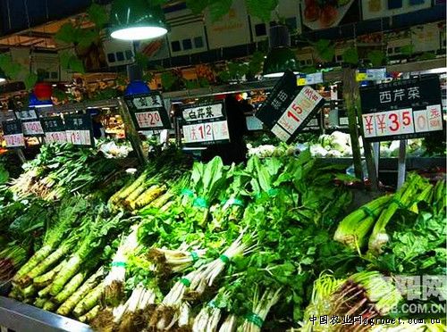 金花菜多少钱一斤