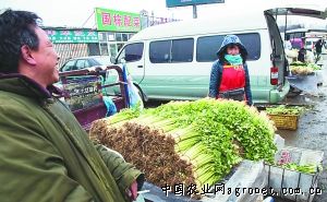 中农868辣椒种植技术
