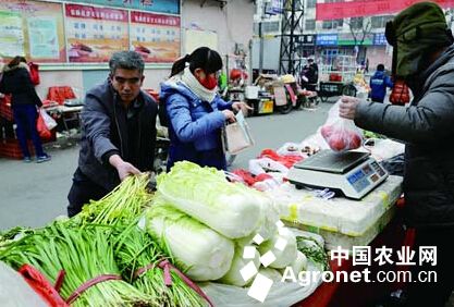北京西红柿批发价格