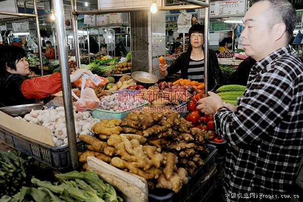 水果黄瓜市场价多少钱一斤