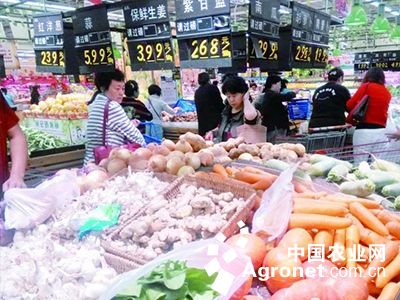 韩国绿萝卜病虫害及防治