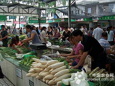 黄瓜市场行情