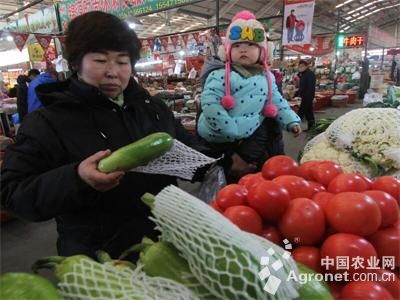 北京大红番茄种子价格