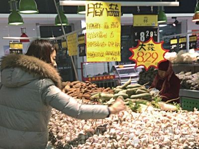 台湾丝瓜种子什么时候种植好?