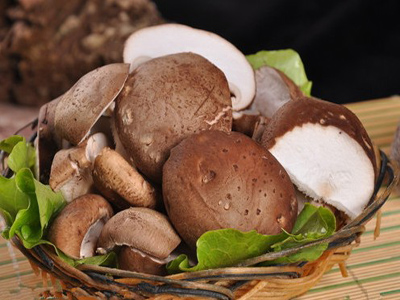 香菇的保鲜及储存方法