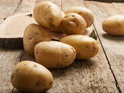 青薯7号土豆施肥技术要点