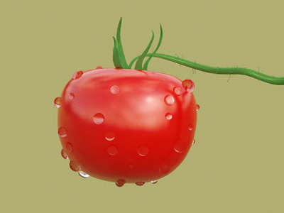 粉红宝西红柿施肥技术