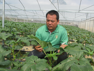 红瓜种植技术